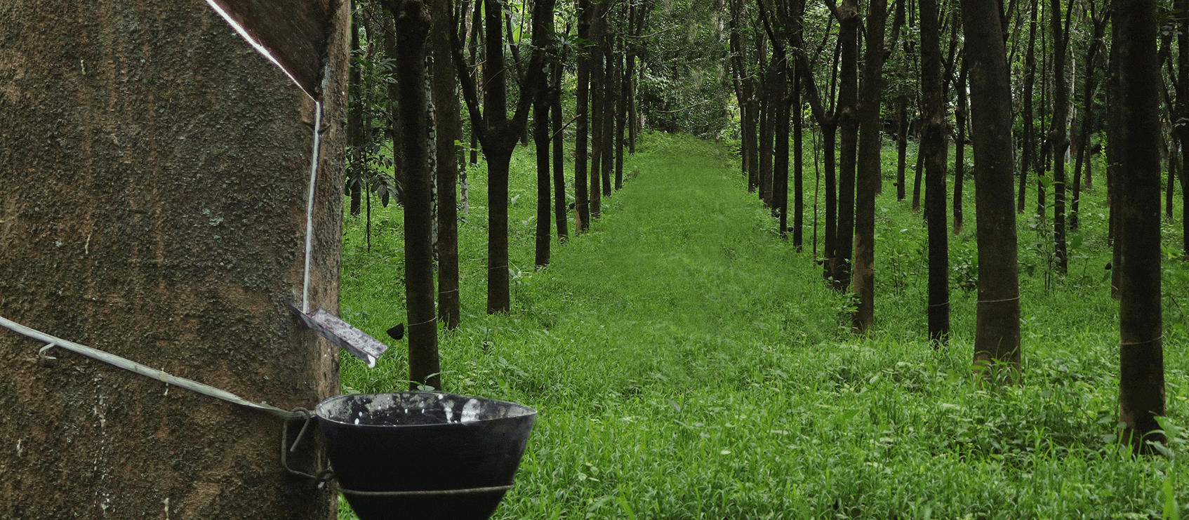rubber industry animation